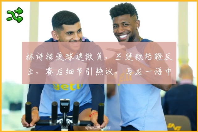 林诗栋受球迷欺负,王楚钦怒瞪反击,赛后细节引热议,马龙一语中的